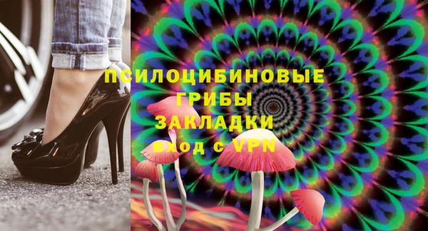 ПСИЛОЦИБИНОВЫЕ ГРИБЫ Бугульма