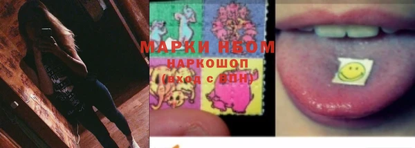 трава Бородино