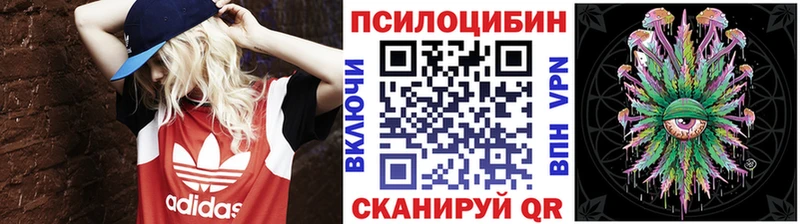 omg рабочий сайт  Петропавловск-Камчатский  Галлюциногенные грибы Cubensis 
